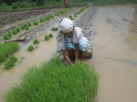 agrarian reform 5