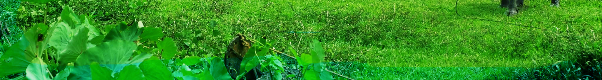 We connect