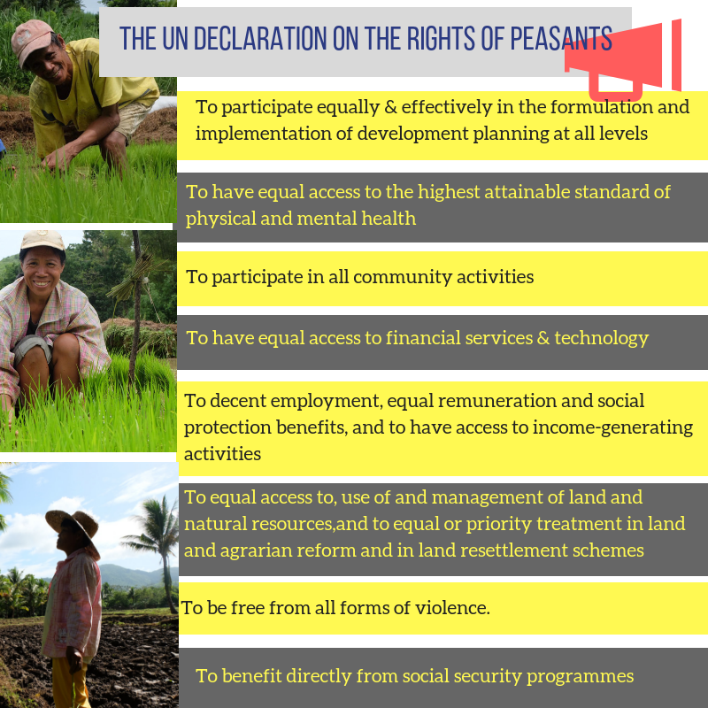 United Nations Declaration on the Rights of Peasants and Other People Working in Rural Areas